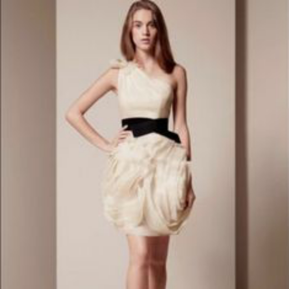 Vera Wang Rose Dress🛍